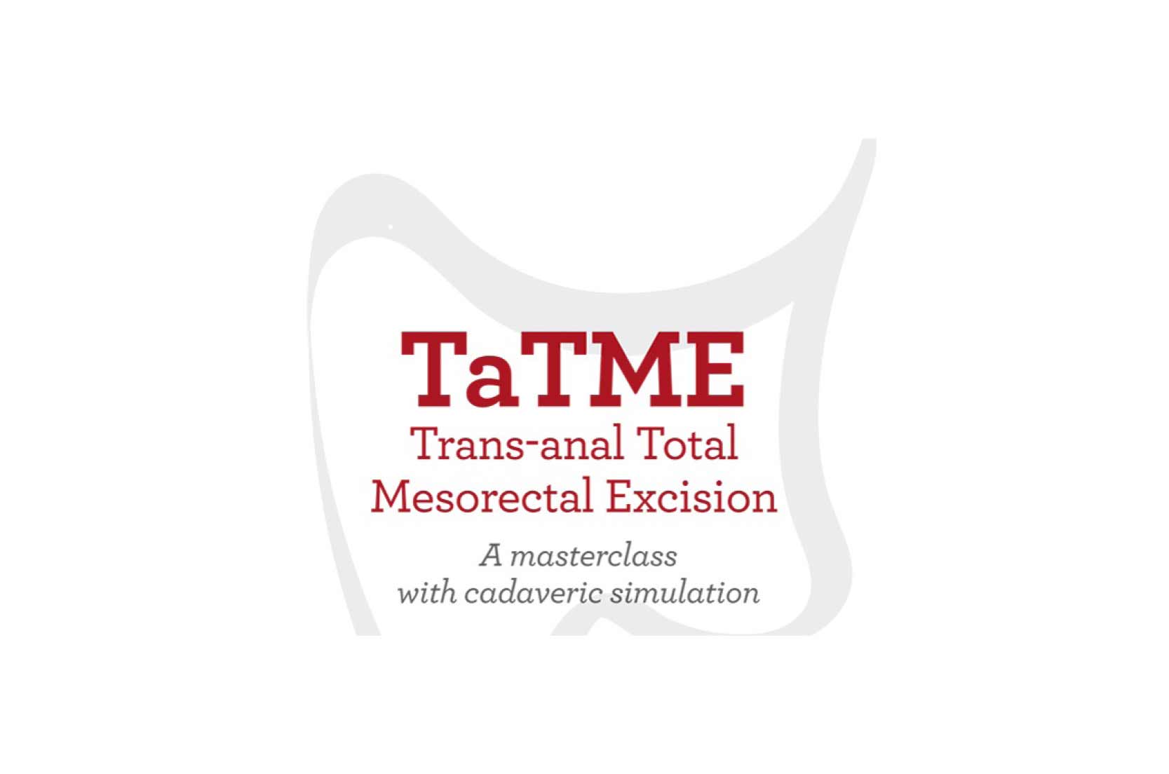 Trans-anal Total Mesorectal Excision 2019