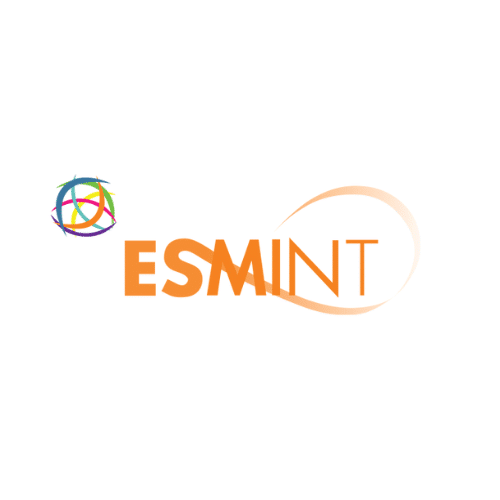 Logo of ESMINT, the European Society of Minimally Invasive Neurological Therapy